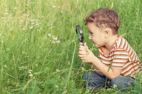Happy little boy exploring nature with magnifying glass - Sensory ...