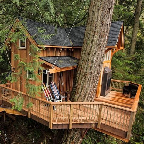 Build A Tiny House In The Trees With Treehouse Masters Daryl Mcdonald