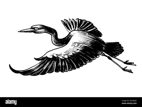Flying Heron Bird Ink Black And White Drawing Stock Photo Alamy