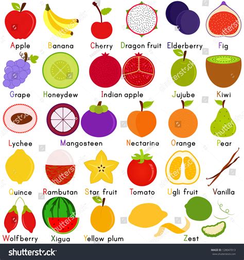 Vector Fruit Representing Alphabet Z Dictionary Stock