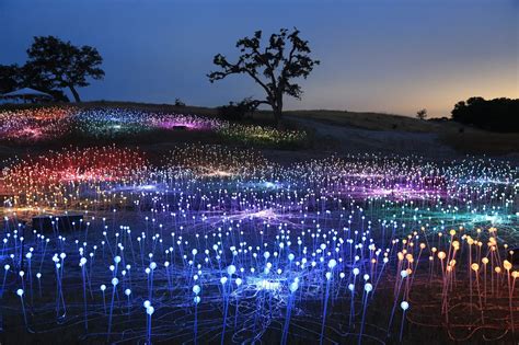 Sensorio Field Of Light In Paso Robles Secret San Francisco