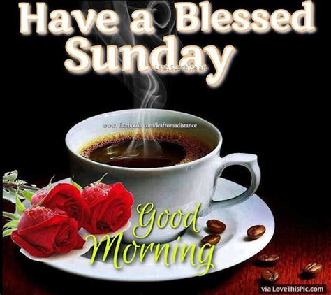 Have A Blessed Sunday Good Morning Pictures Photos And Images For