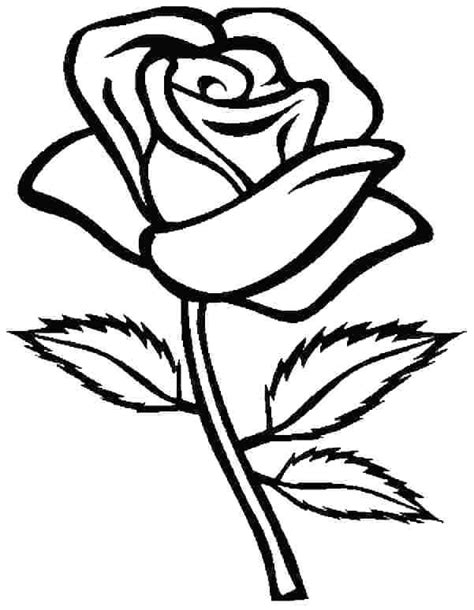 Search through more than 50000 coloring pages. Printable Rose Coloring Pages For Everyone | Rose coloring ...