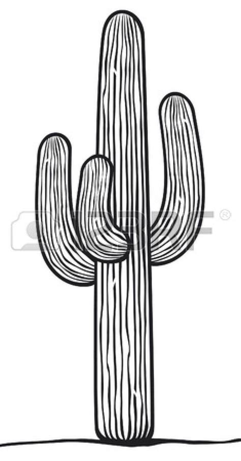 Image Result For Saguaro Cactus Sketch Cactus Drawing Cactus Vector