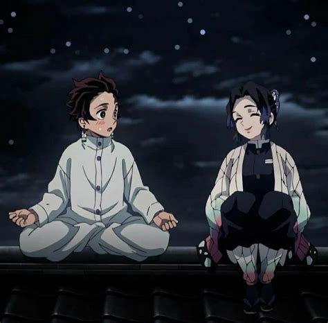 Tanjiro X Shinobu Un Amor Solar Una Meditacion Perfecta Anime Demon