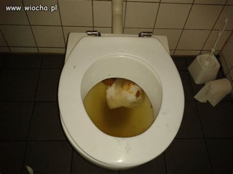 Prywatna Publiczna Toaleta Wiocha Pl Absurd 749117