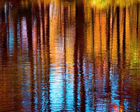 Colorful Tree Reflection In Water Fine Art Photography Wall