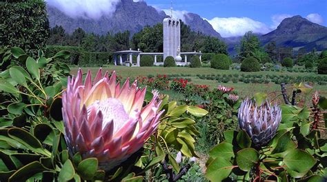 10 Top Things To Do In Franschhoek June 2023 Expedia