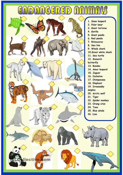 Endangered Animals Matching Endangered Animals Activities Endangered