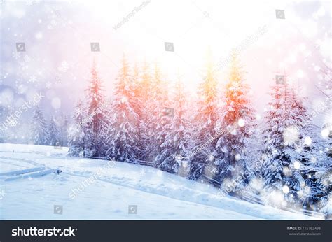Beautiful Winter Landscape With Snow Covered Trees Stock Photo