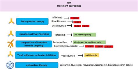 Ibd Treatment Approaches Download Scientific Diagram