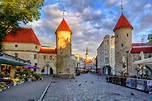 Tallinn Old Town Walking Tour with Port Transfer - Nordic Experience
