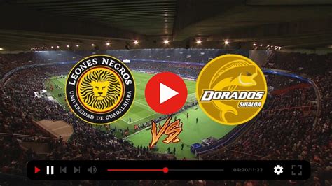 Top 62 Imagen Leones Vs Dorados Abzlocal Mx