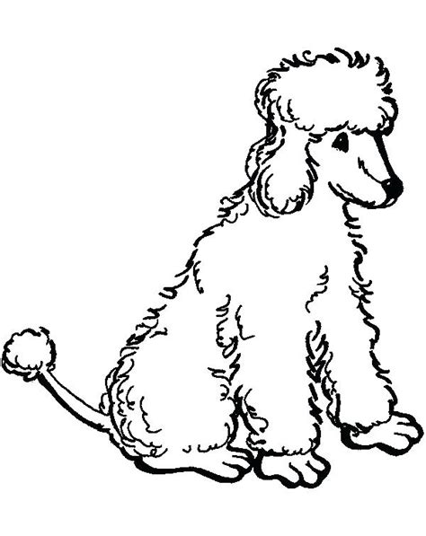 ✓ free for commercial use ✓ high quality images. Toy Poodle Coloring Pages at GetColorings.com | Free ...