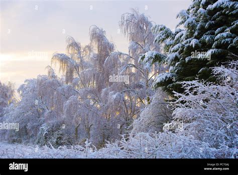 Winter Snow Shrewsbury Hi Res Stock Photography And Images Alamy