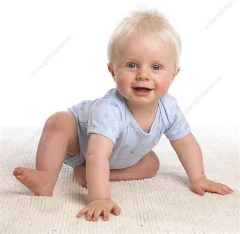Baby Boy Crawling Stock Image C0542308 Science Photo Library