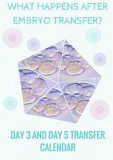 Pictures of Day 6 Frozen Embryo Transfer Success Rates