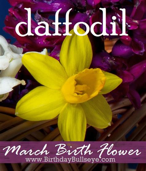 March Birthstones And Flowers Lucky Charms And Good Health