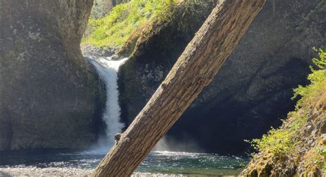 Punch Bowl Falls Oregon Via Eagle Creek Trail — Adventures With Holly