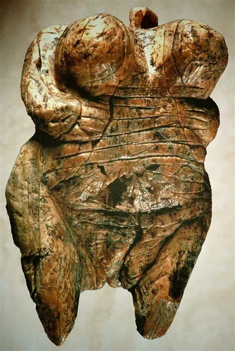 La Misteriosa Venere Di Willendorf Cosa Significa Storia Antica