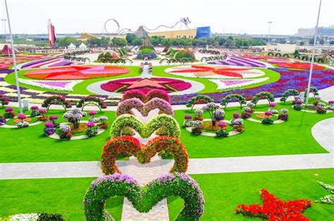 The Beautiful Miracle Garden Of Dubai Travel Plan Dubai