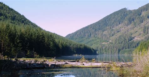 Vancouver Island Photo Journal Mcclure Lake On The Road To Carmanah