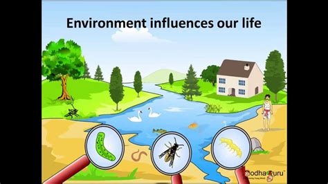 Science What Are Biotic And Abiotic Components Of The Environment