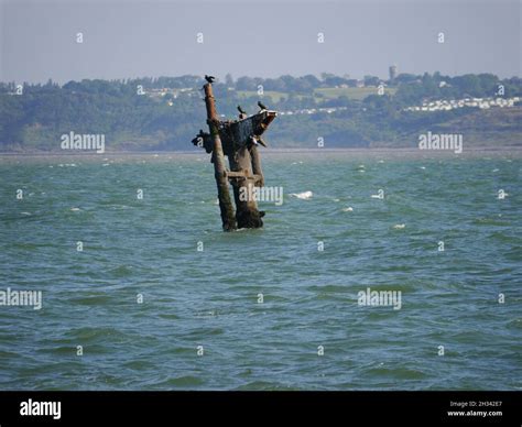 SS Richard Montgomery Isle Of Sheppy Kent England Stock Photo Alamy