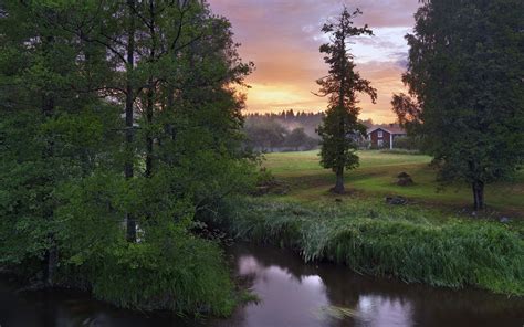 Sweden Stocks River Nature Tree Wallpapers Hd Desktop And Mobile