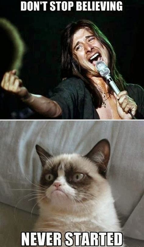 Blog Del Maldad Memes Del Grumpy Cat Gato Enojado