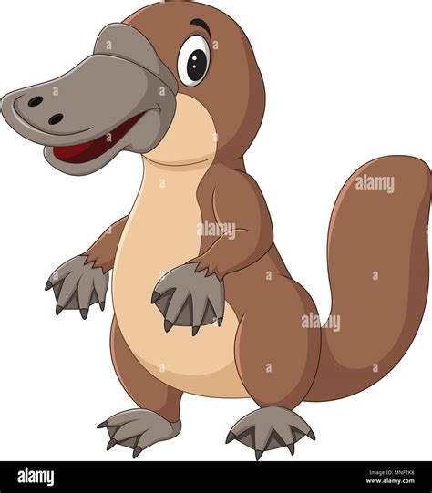 Cartoon Platypus Isolated On White Background Stock Vector Image And Art