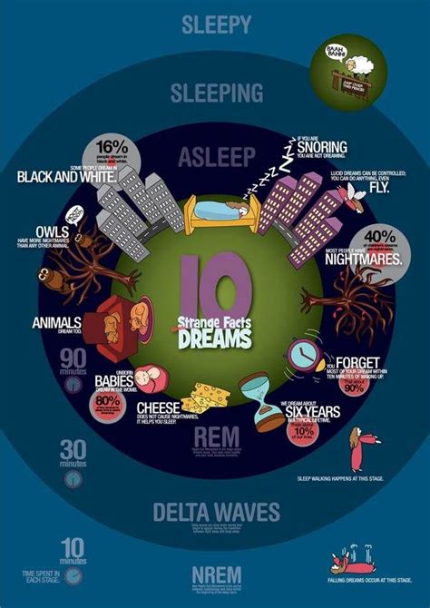 Facts About Dreams By Qurratul Ain Saeed Via Behance Weird Facts Fun