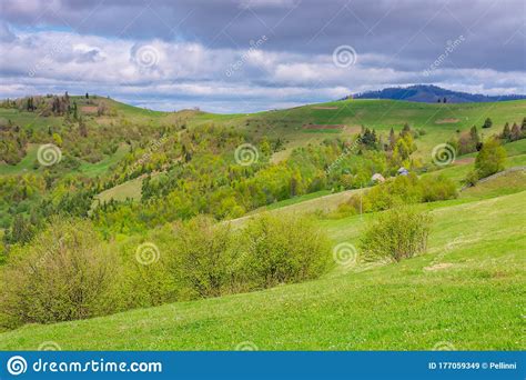 Rolling Hills And Grassy Meadows Of Mountainous Countryside Beautiful