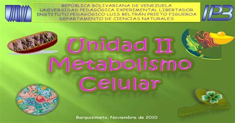 Biología Celular Metabolismo Celular Pdf Document