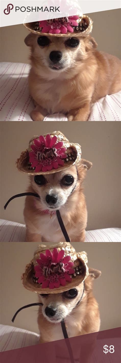 Cowgirl Hat For Smallmedium Breed Dog Dog Breeds Cowgirl Hats Cowgirl