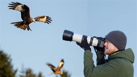 How To Photograph Birds In Flight Tips And Tricks Bird Photography