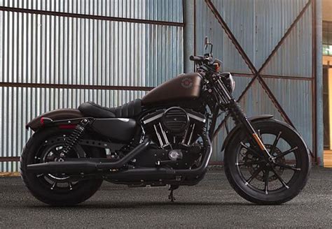 One things that harley's have in spades is style. 2019 Iron 883 | San Diego Harley-Davidson®
