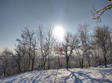 Sun On The Sky In Winter Winter Landscape With Trees In Romania Stock