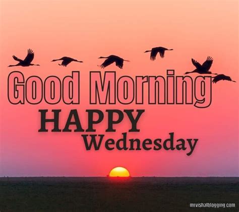 Good Morning Happy Wednesday Images And Quotes Hd Download