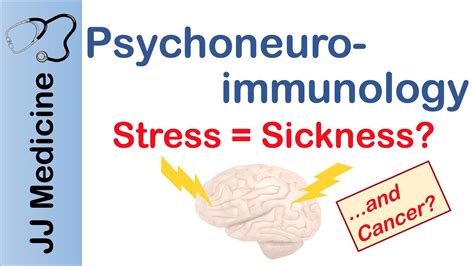 Psychoneuroimmunology How Stress And Depression Make You Sick Youtube
