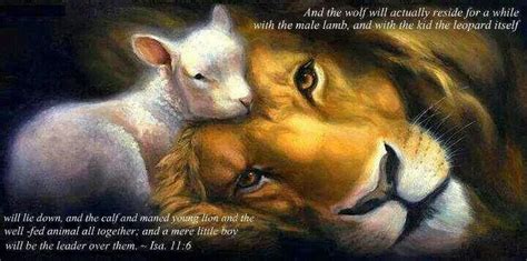 Isaiah 116 Lion And Lamb Lion Of Judah Jesus Pictures