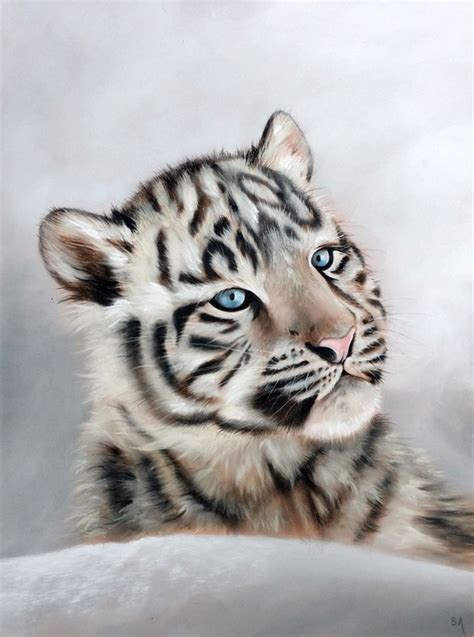 White Tiger Cub In Snow What Are Snow Tigers Big Cat Rescue In The