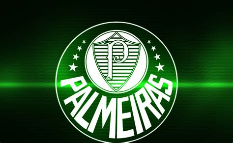 Blusão treino palmeiras 1/4 zip 2019 verde. simone festas: DECORAÇÃO-*PALMEIRAS*