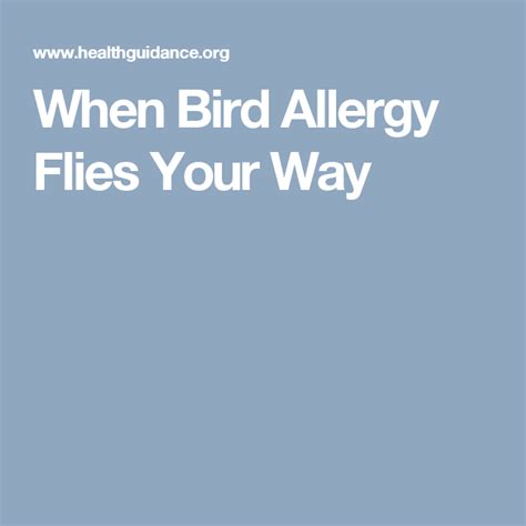 When Bird Allergy Flies Your Way Allergies Birds Health