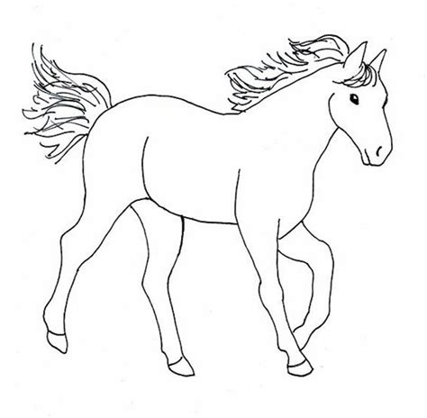 Horse Drawings To Trace