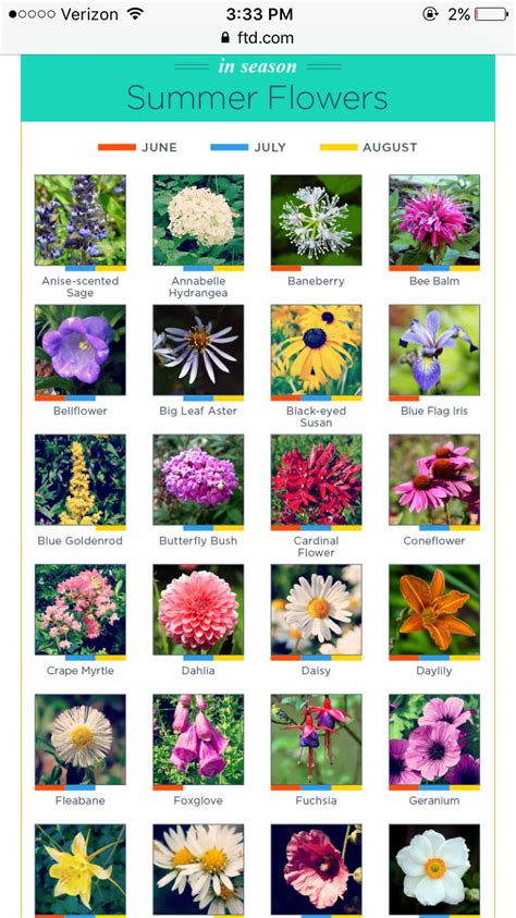 Perennial Plants Examples With Names Kgarden Plant