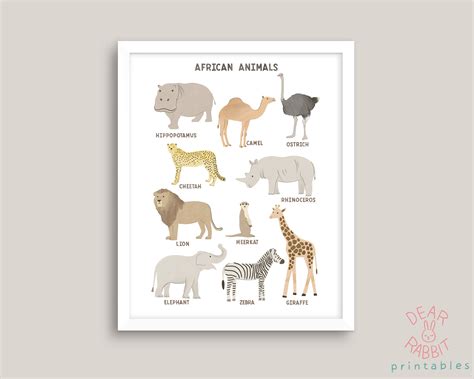 Cartel De Animales Para Niños Impresión De Ilustración Etsy España