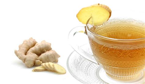 Ginger Tea Benefits Tea Majesty