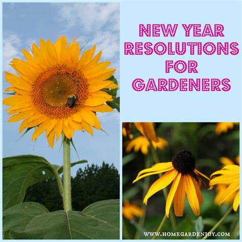 New Year Resolutions For Gardeners Home Garden Joy
