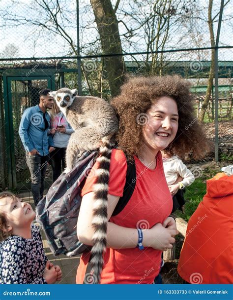 Lemur Sitting On The Shoulders Of A Girl With Curly Hair And A
